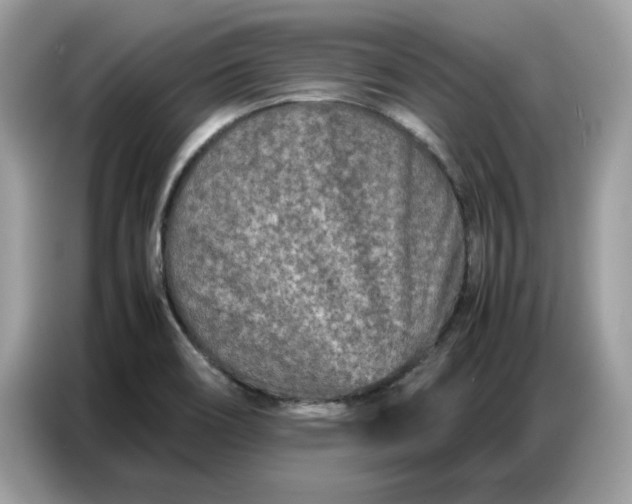 X0000086741466200704271641