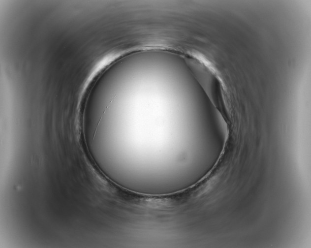 X0000086741469200704271641