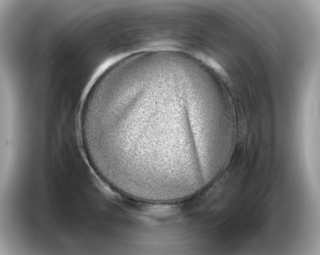 X0000086741470200704271641