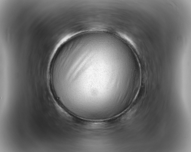 X0000086741471200704271640