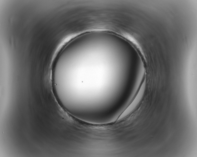 X0000086741472200704271640