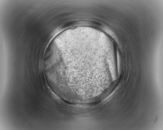 X0000086741473200704271640