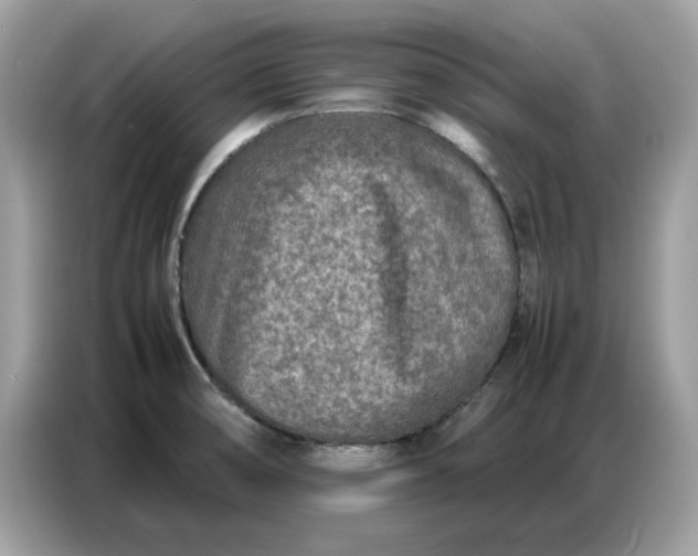 X0000086741474200704271640