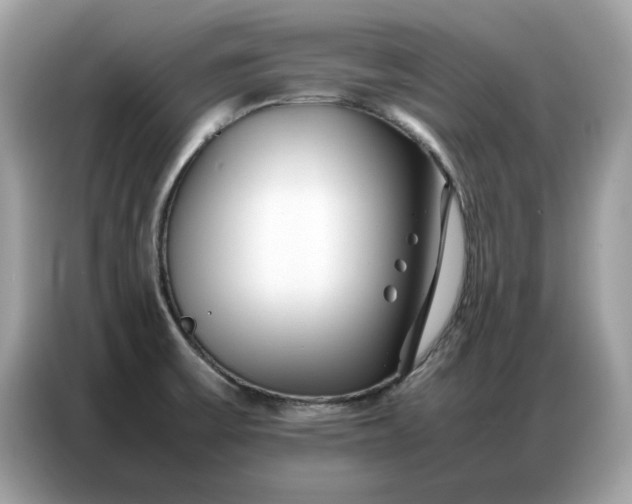 X0000086741475200704271640