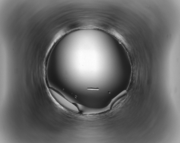 X0000086741476200704271640