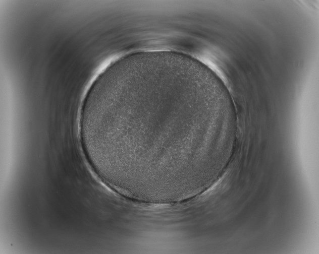 X0000086741477200704271640