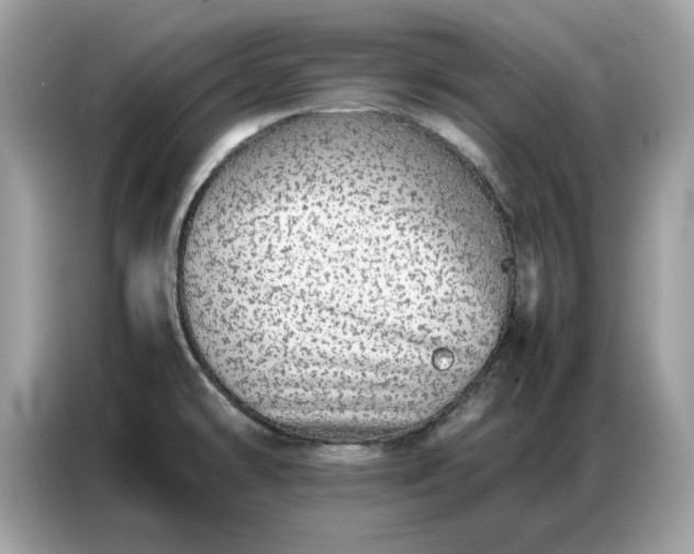 X0000086741478200704271640