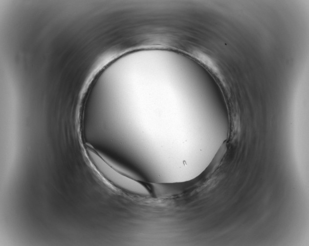 X0000086741480200704271640