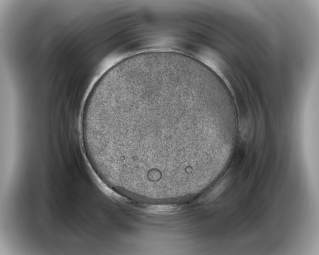 X0000086741482200704271640