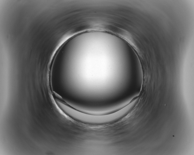 X0000086741484200704271640