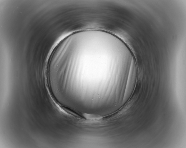 X0000086741486200704271640