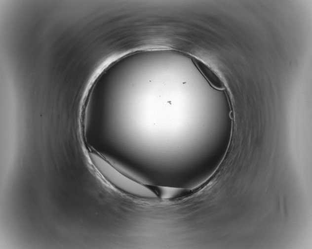 X0000086741488200704271640