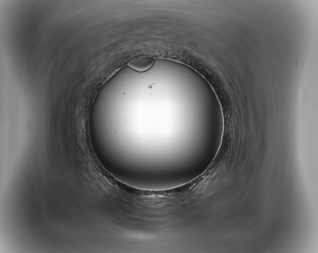 X0000086741489200704271640