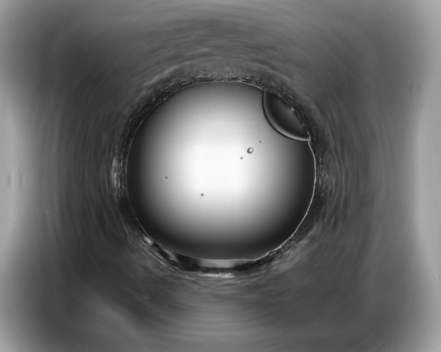 X0000086741490200704271640