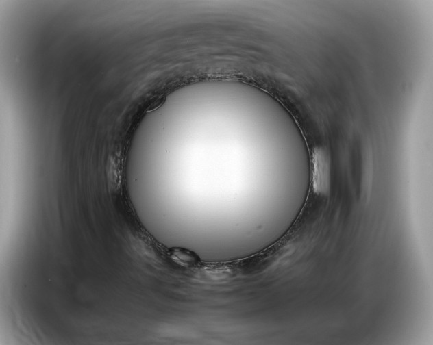 X0000086741491200704271640