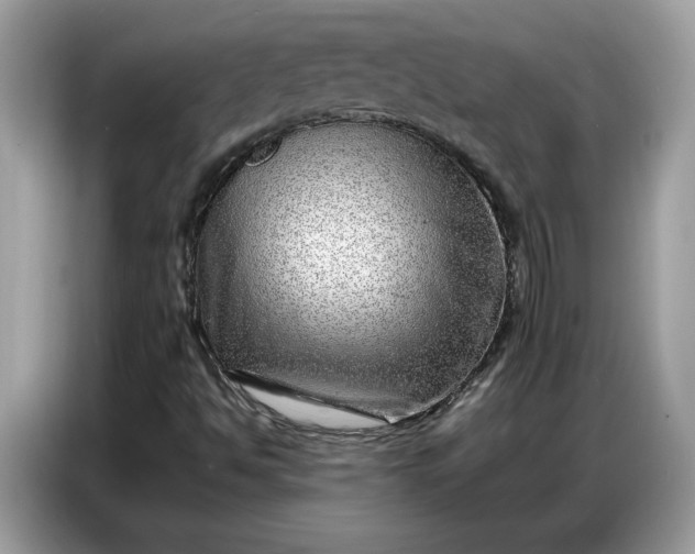 X0000086741494200704271640