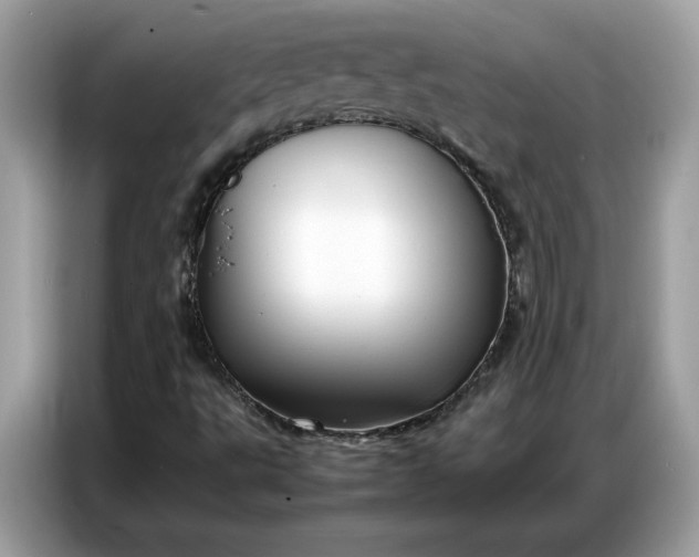 X0000086741495200704271640