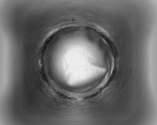 X0000086741496200704271640