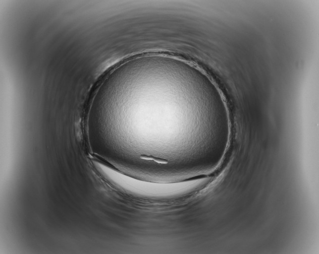 X0000086741497200704271640