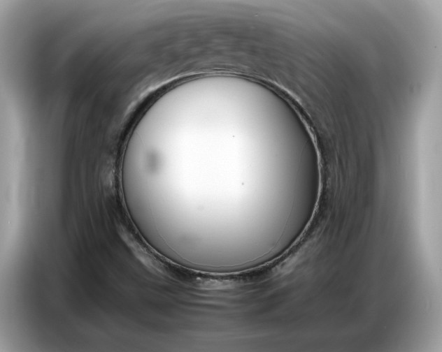 X0000086741499200704271640