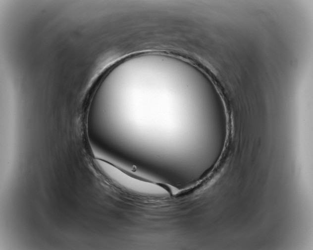 X0000086741501200704271640