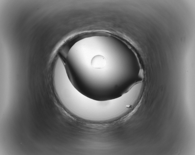 X0000086741502200704271640