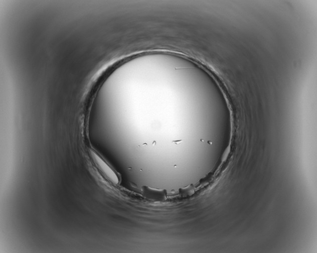 X0000086741503200704271640