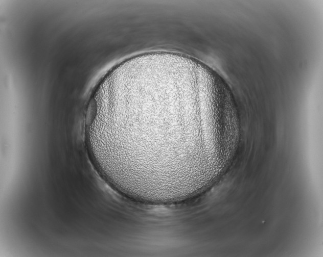 X0000086741504200704271640