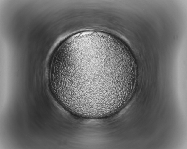 X0000086741506200704271640