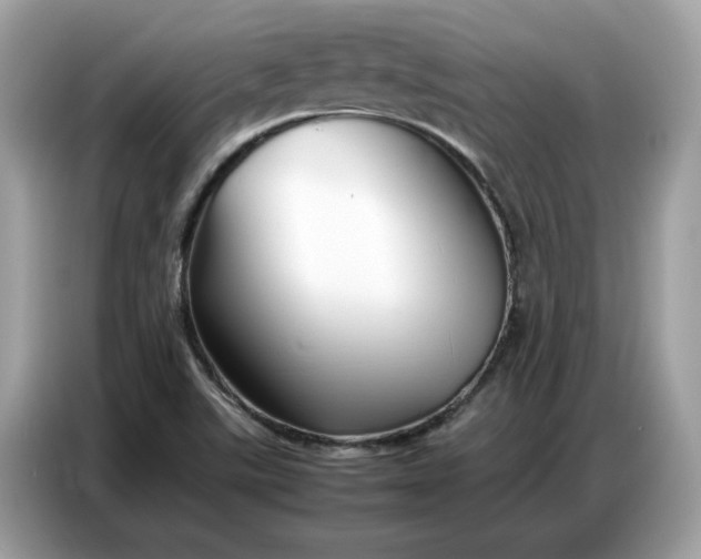 X0000086741507200704271640