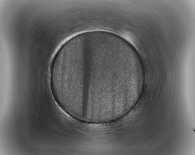 X0000086741508200704271640