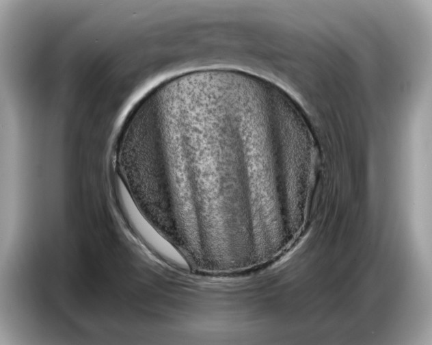 X0000086741510200704271640