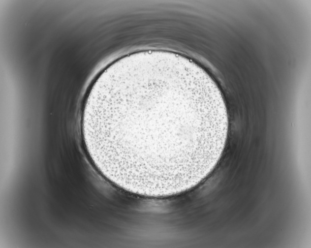 X0000086741514200704271640