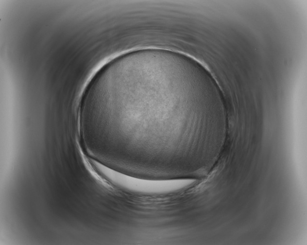 X0000086741515200704271640