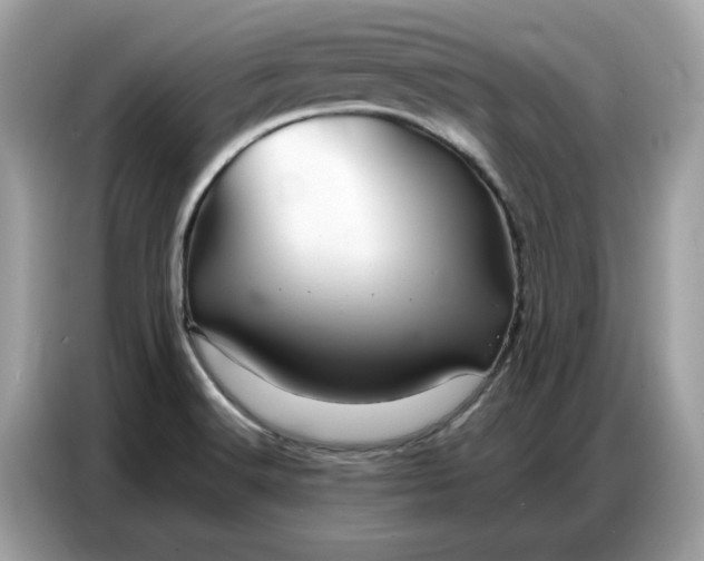 X0000086741516200704271640