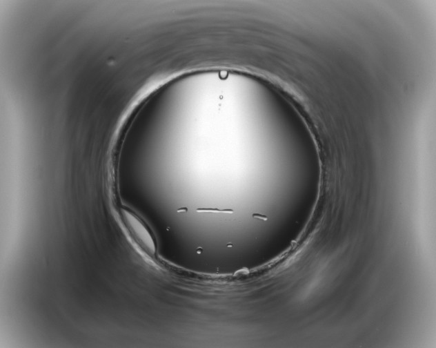 X0000086741517200704271640