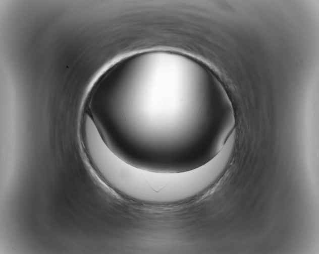 X0000086741518200704271640