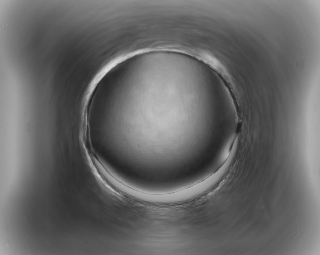 X0000086741520200704271640