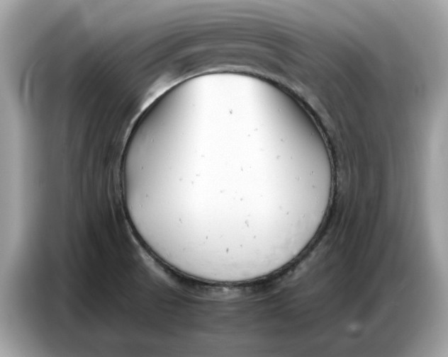 X0000086741521200704271640