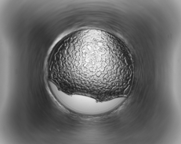 X0000086741522200704271640