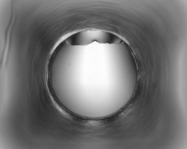 X0000086741523200704271640