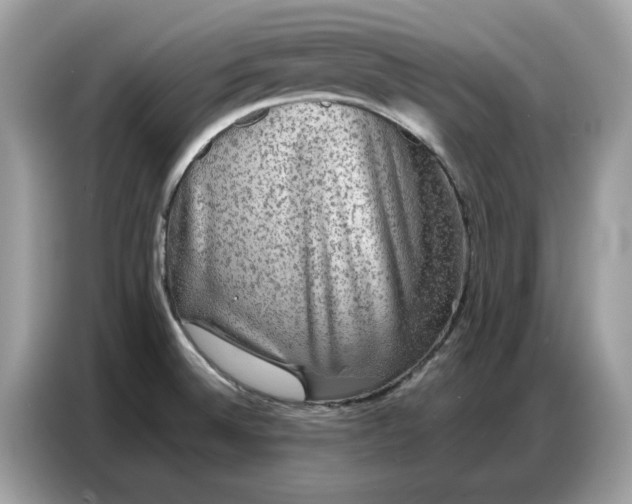 X0000086741524200704271640