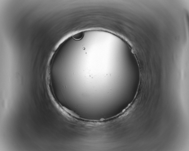 X0000086741526200704271640