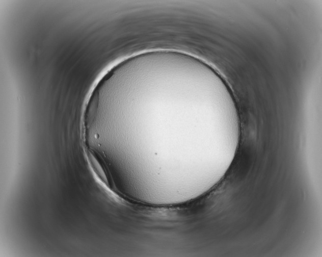 X0000086741527200704271640