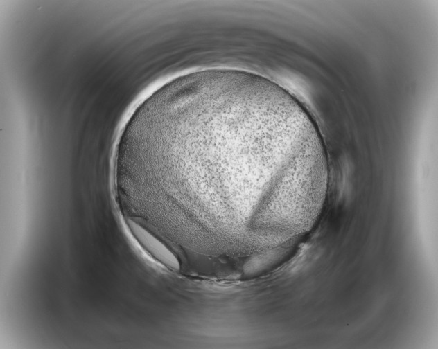 X0000086741528200704271640