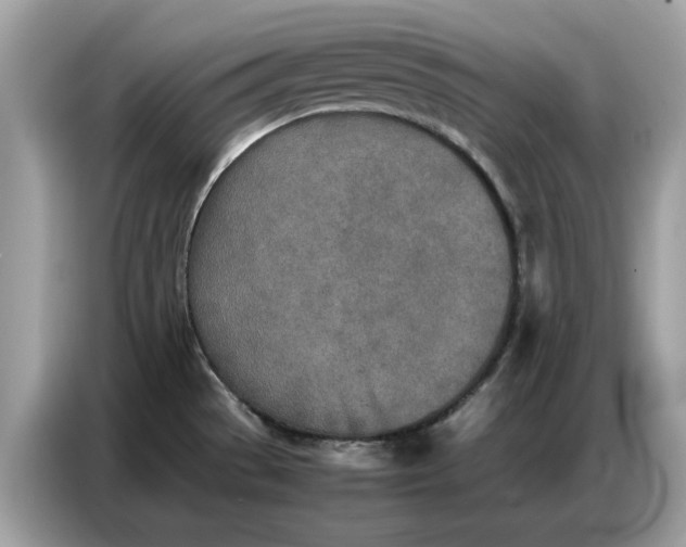 X0000086741529200704271640