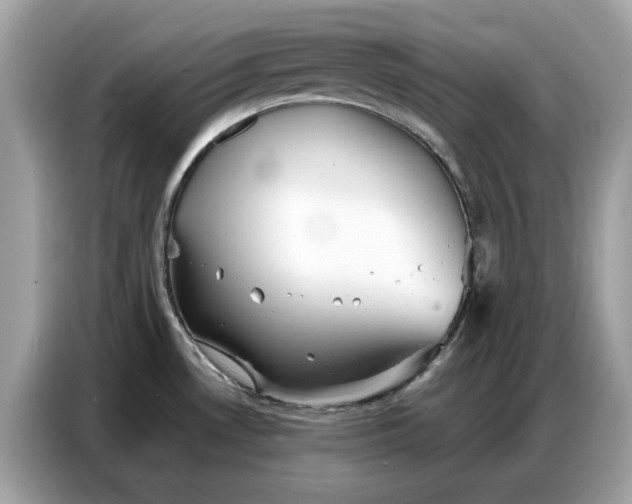 X0000086741530200704271640