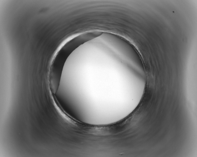 X0000086741531200704271640