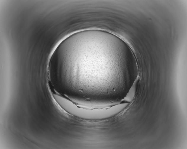 X0000086741532200704271640