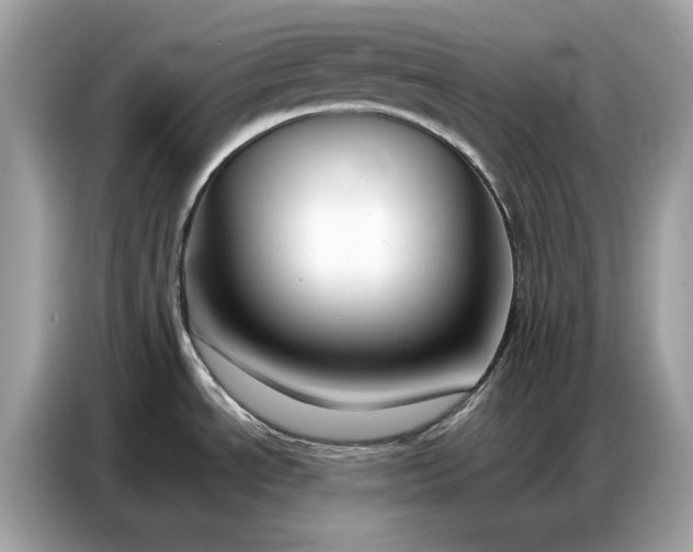 X0000086741534200704271640